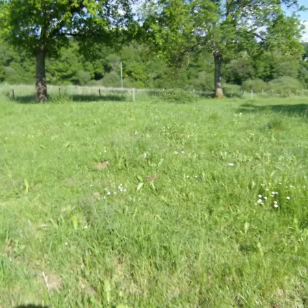 Casa de Férias Amouroux *